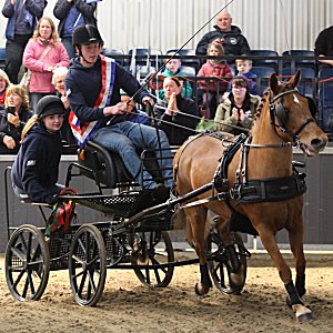 Jack Ralph, Junior Champion and Intermediate Junior Champion 2016