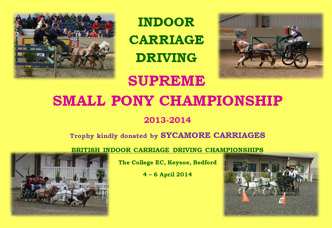 Small pony championships 2013-14
