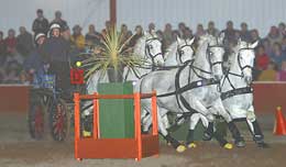 Obstacles
