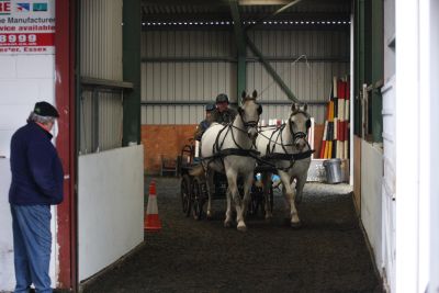 horsey or not, helping is fun and you can be part of it